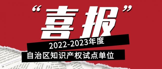 喜報！寧夏盾源聚芯獲批“2022-2023年度自治區知識產權試點單位”